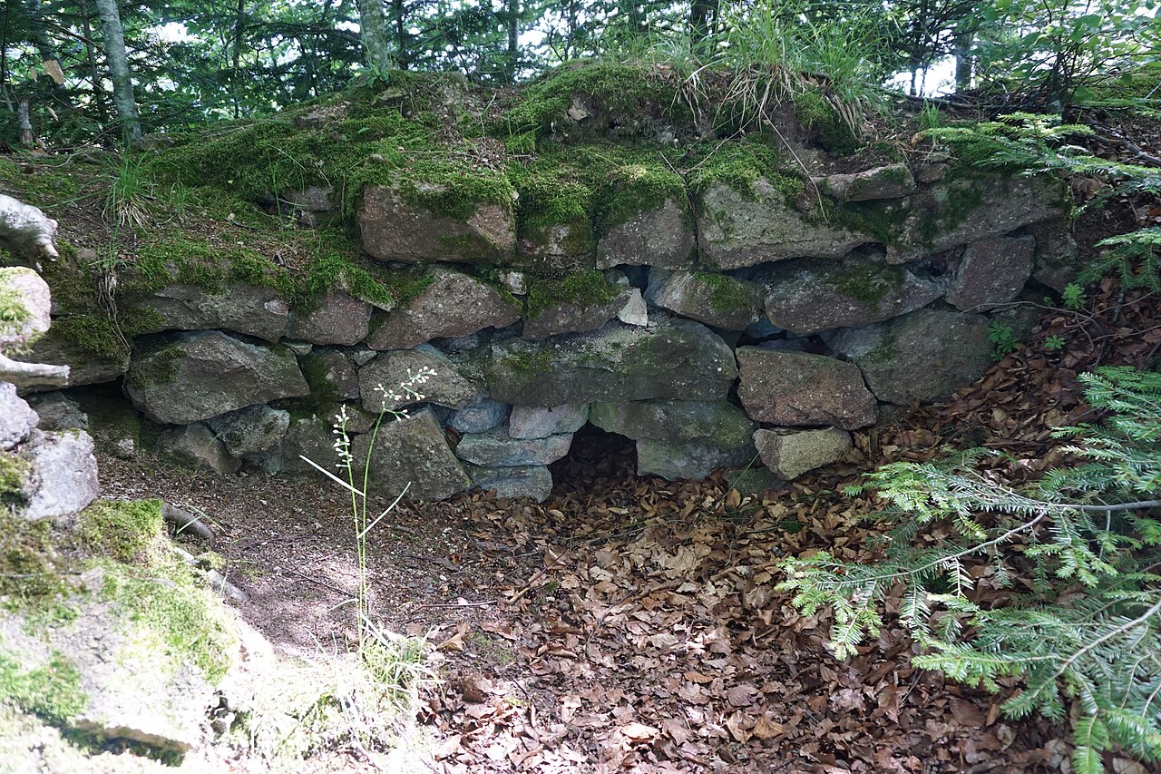 Mauerrest der Burgruine Burgholz in Raitbach (Schopfheim) Object location 47° 40′ 39