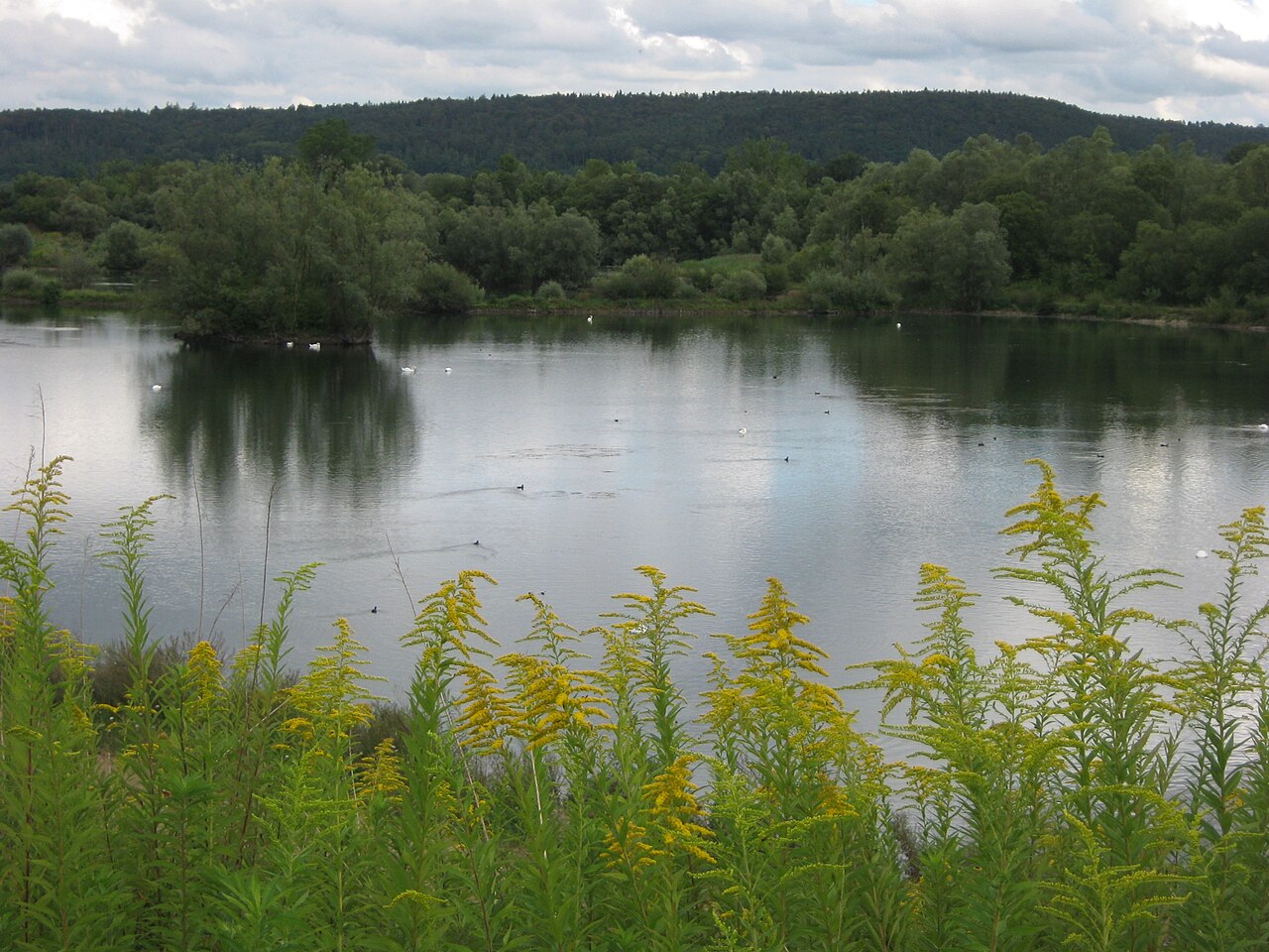 Blick über den Baggersee auf das Naturschutzgebiet Burglehen Im Hintergrund ein bewaldeter Höhenzug des Rammert