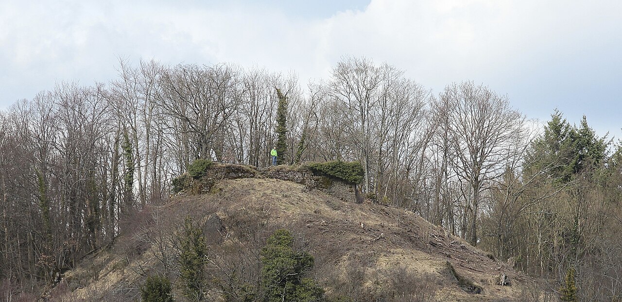 Die Ruine Beilstein ist nach der Rodung des Gipfels gut sichtbar