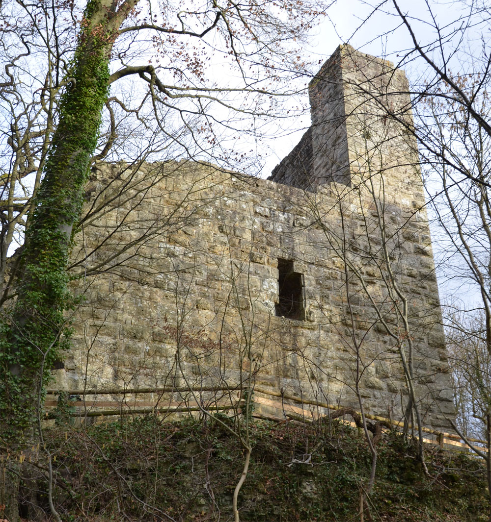 Burgruine Blankenhorn bei Güglingen-Eibensbach