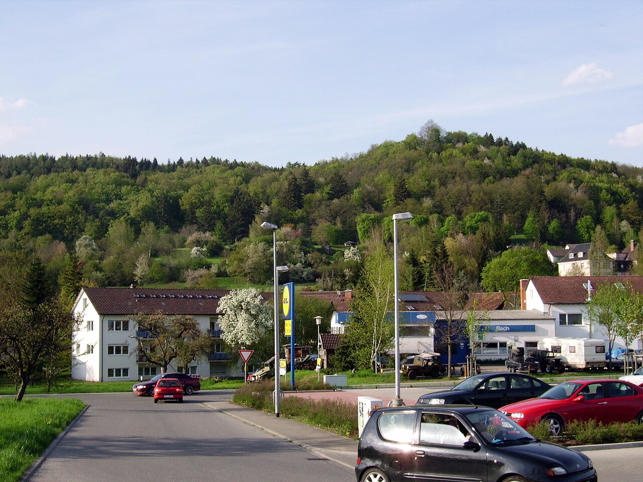 Blick auf das Bürglischloss auf dem Rauhenberg bei Gailingen am Hochrhein, N 47