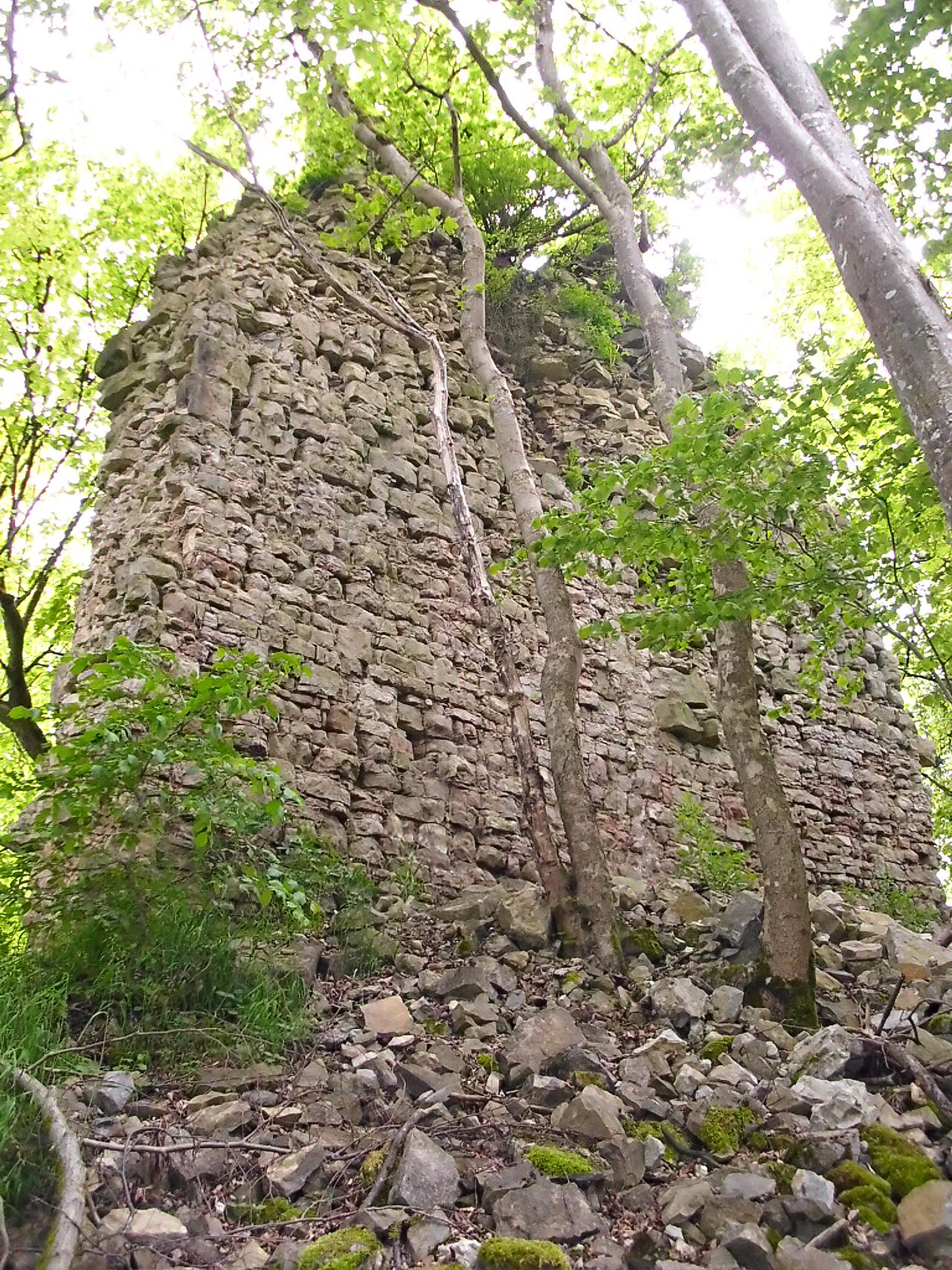 Mauer der Burgruine Frundeck