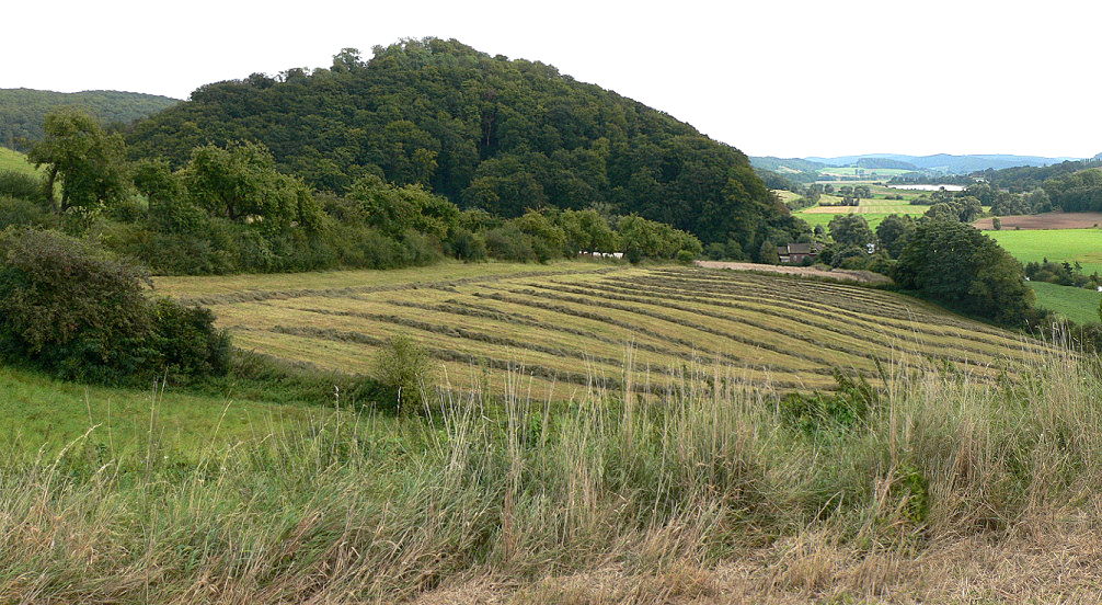 Burgberg der Burg Hausfreden , rechts die Leine
