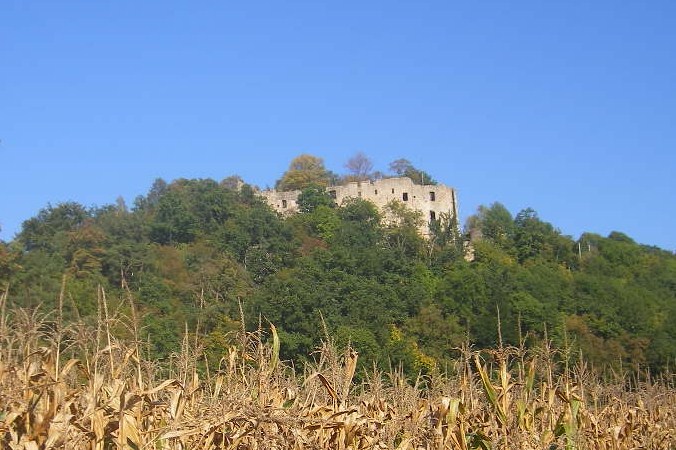 Ruine Hilgartsberg
