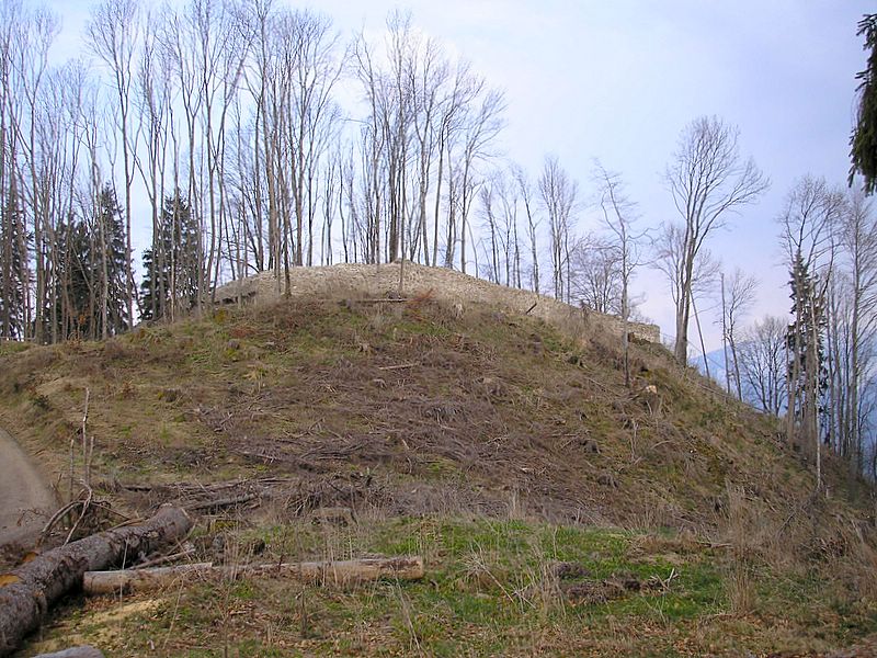 Burg Hopfen (Allgäu)