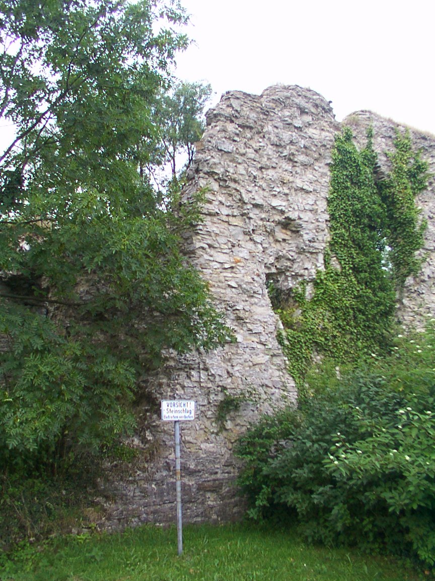 Schlangen : Burgruine in Kohlstädt