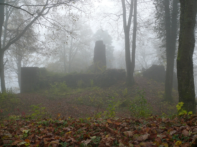 Ruine Kranzberg bei Sulzbach-Laufen