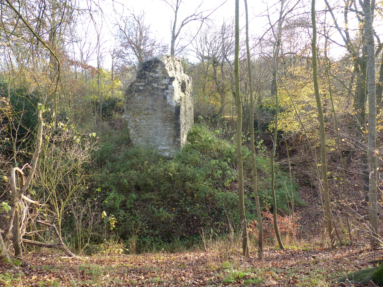 Ruin of castle Langeleben