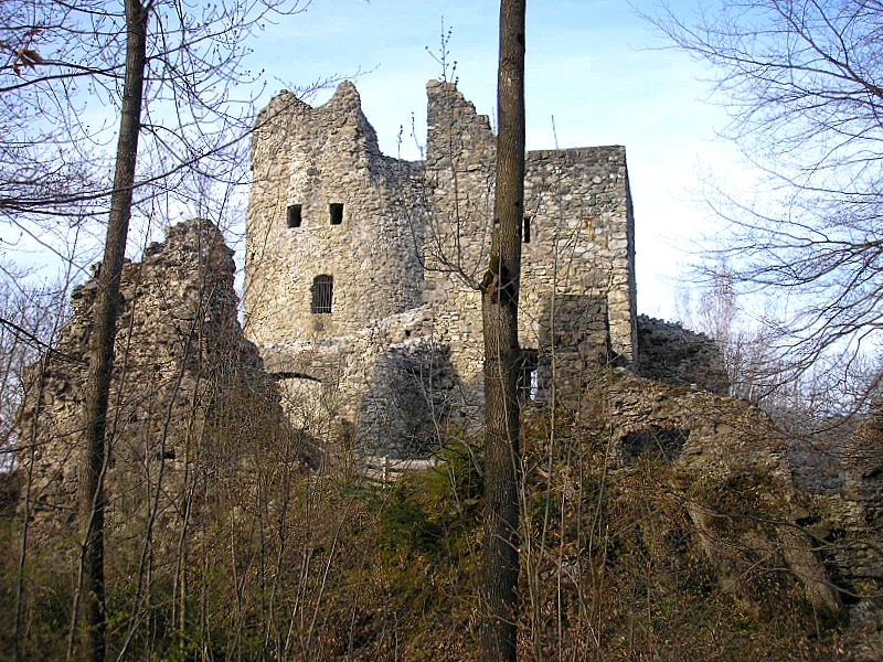 Burg Laubenbergerstein bei Immenstadt im Allgäu (Landkreis Ostallgäu)