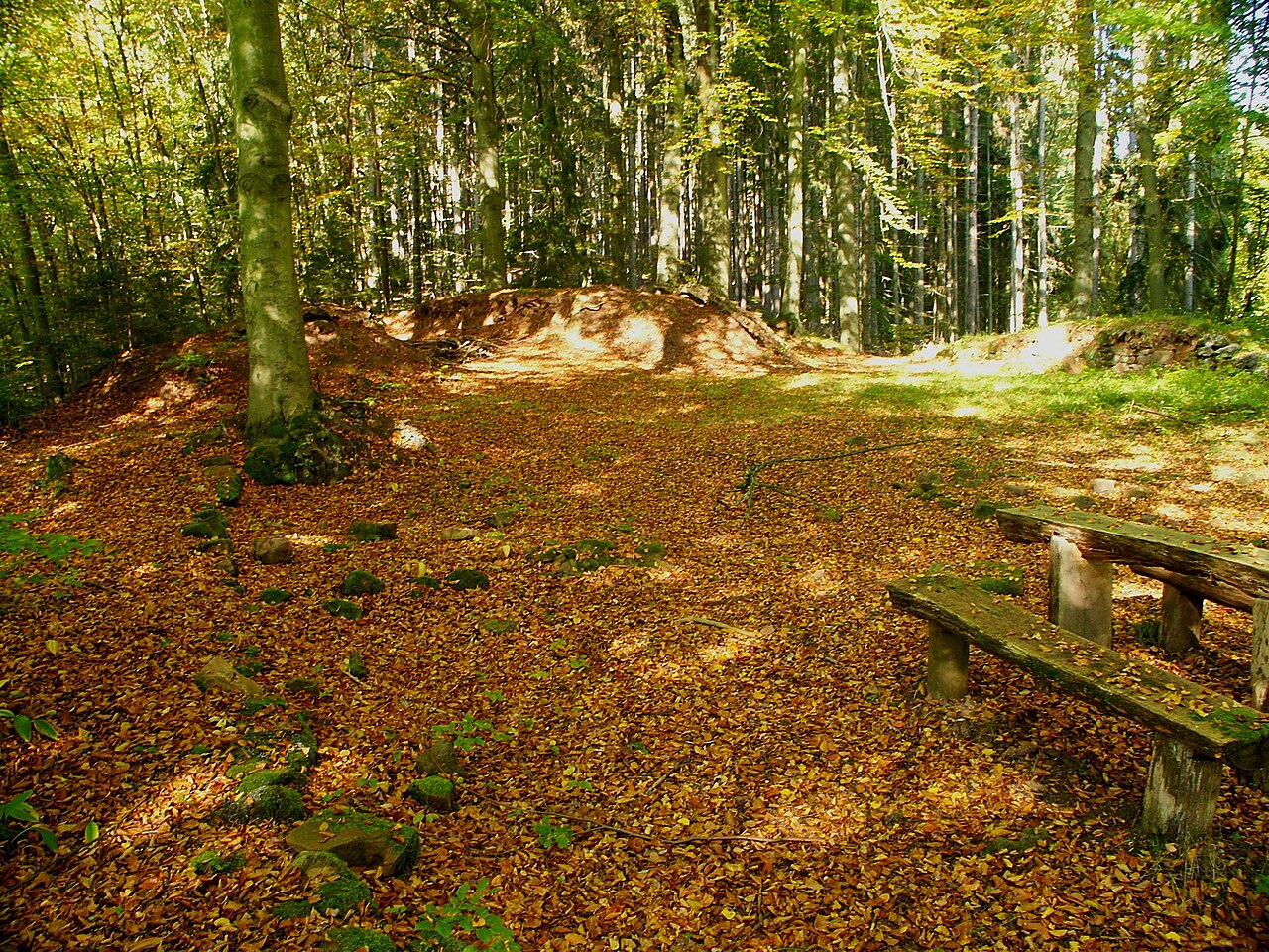 Mauerreste der Oberburg Milnrode