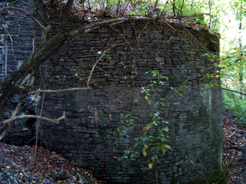 Burgruine Neuenberg im Oberbergischen Land
