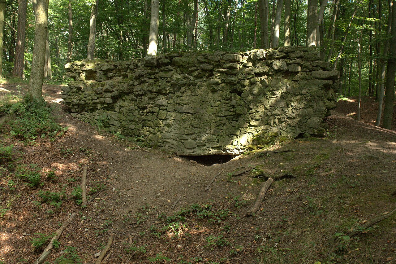 Burgstall Schauerberg - Letzter größerer Mauerrest der Burganlage