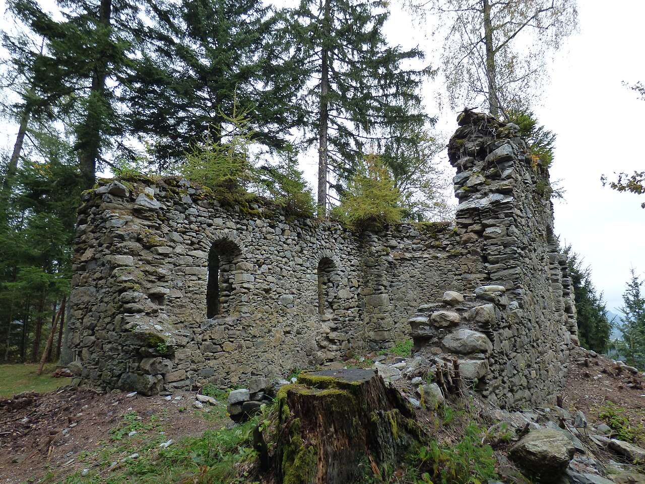 Burgruine Steuerberg (Marbauerschloss), Gemeinde Steuerberg, Kärnten