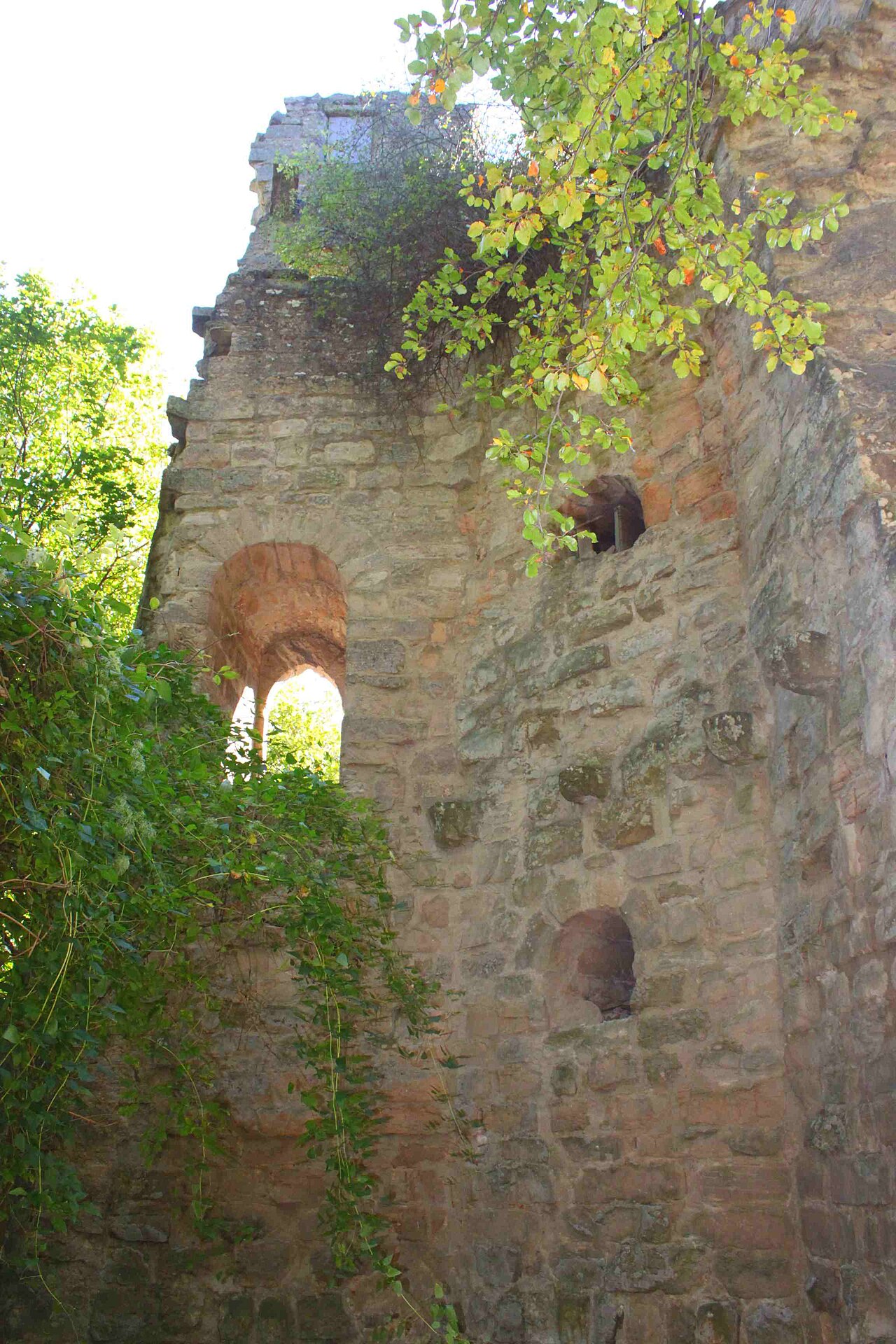 Burgruine Stollburg auf dem Stollberg