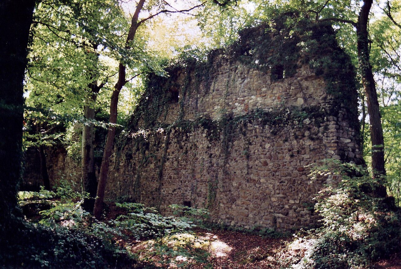 Burg Weisswasserstelz, Westseite