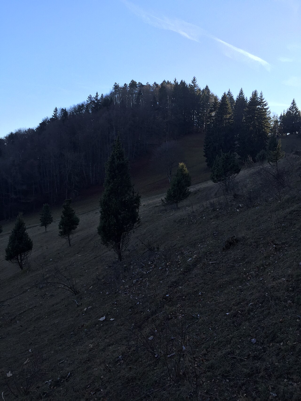 Wenzelstein