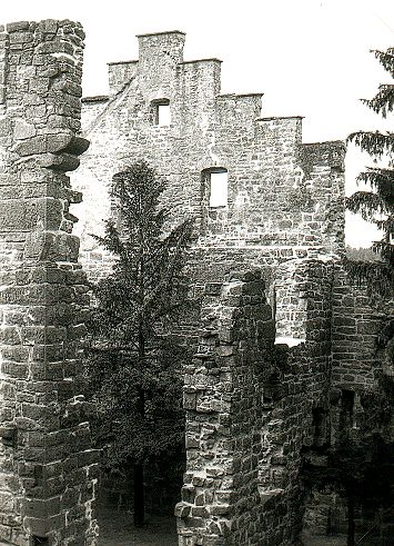 Burgruine Zavelstein