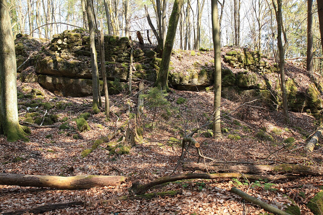 Ringmauerreste des Burgstalles Alte Veste
