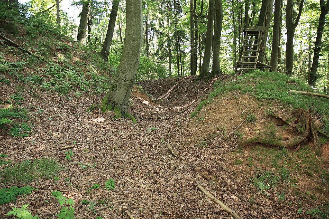 Wallgraben des Burgstalls Alter Rothenberg