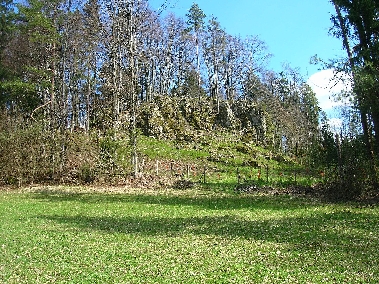 Ansicht des Burgstalles Altes Schloss von Nordwesten