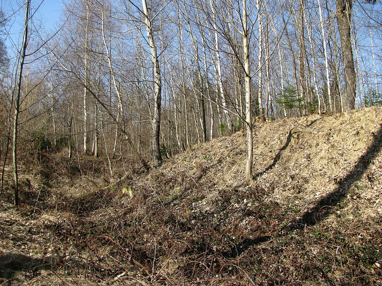 Burgstall Aubing, Ringgraben westseitig