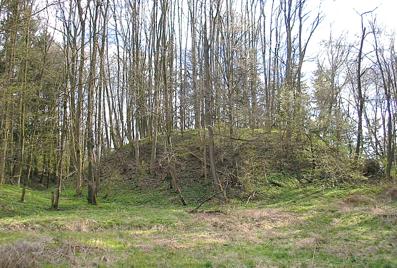 Foto von Burgstall Bachern