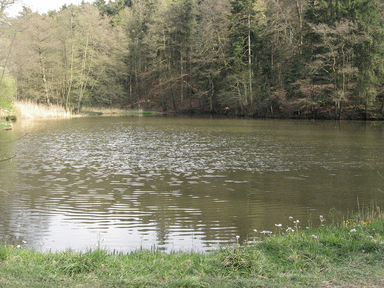 Foto von Burgstall bei den Schenkenseen