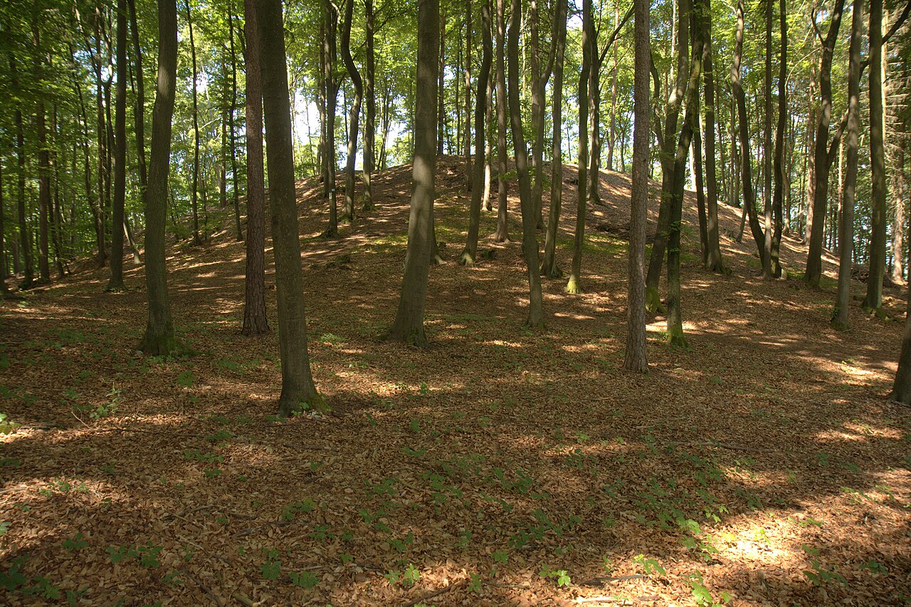 Burgstall Burgstein - Ansicht des Burgstalls aus östlicher Richtung
