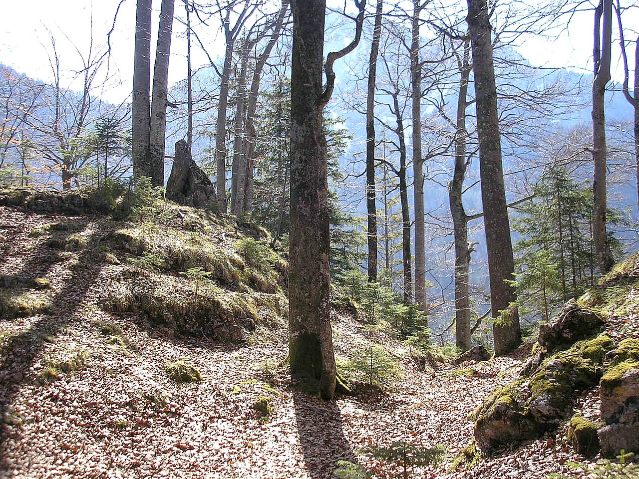 Former Frauenstein castle (Schwangau, Landkreis Ostallgäu, Bavaria, Germany)