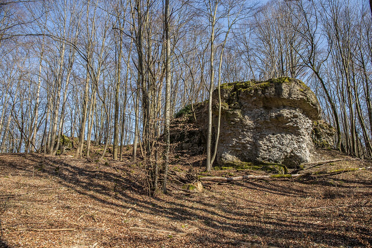 Burgstall Großes Haus - Ansicht der Westseite des Burgstalles
