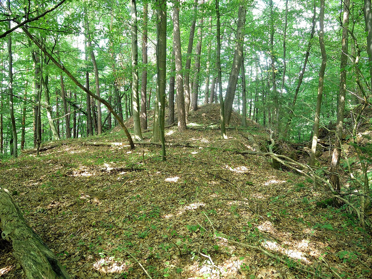 Burgstall Hacburg - Ansicht des Kernburghügels