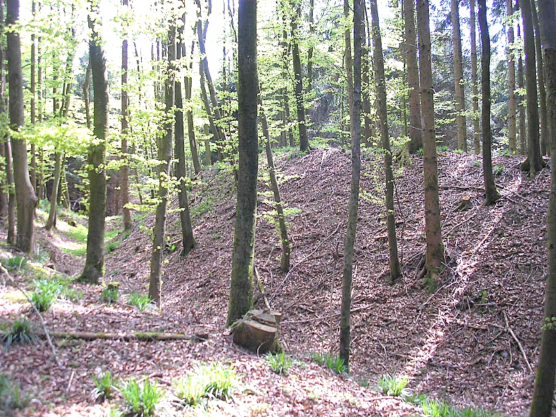 Hochmittelalterlicher Burgstall Hattenberg bei Ried (Markt Dinkelscherben, Landkreis Augsburg, Bayerisch-Schwaben)