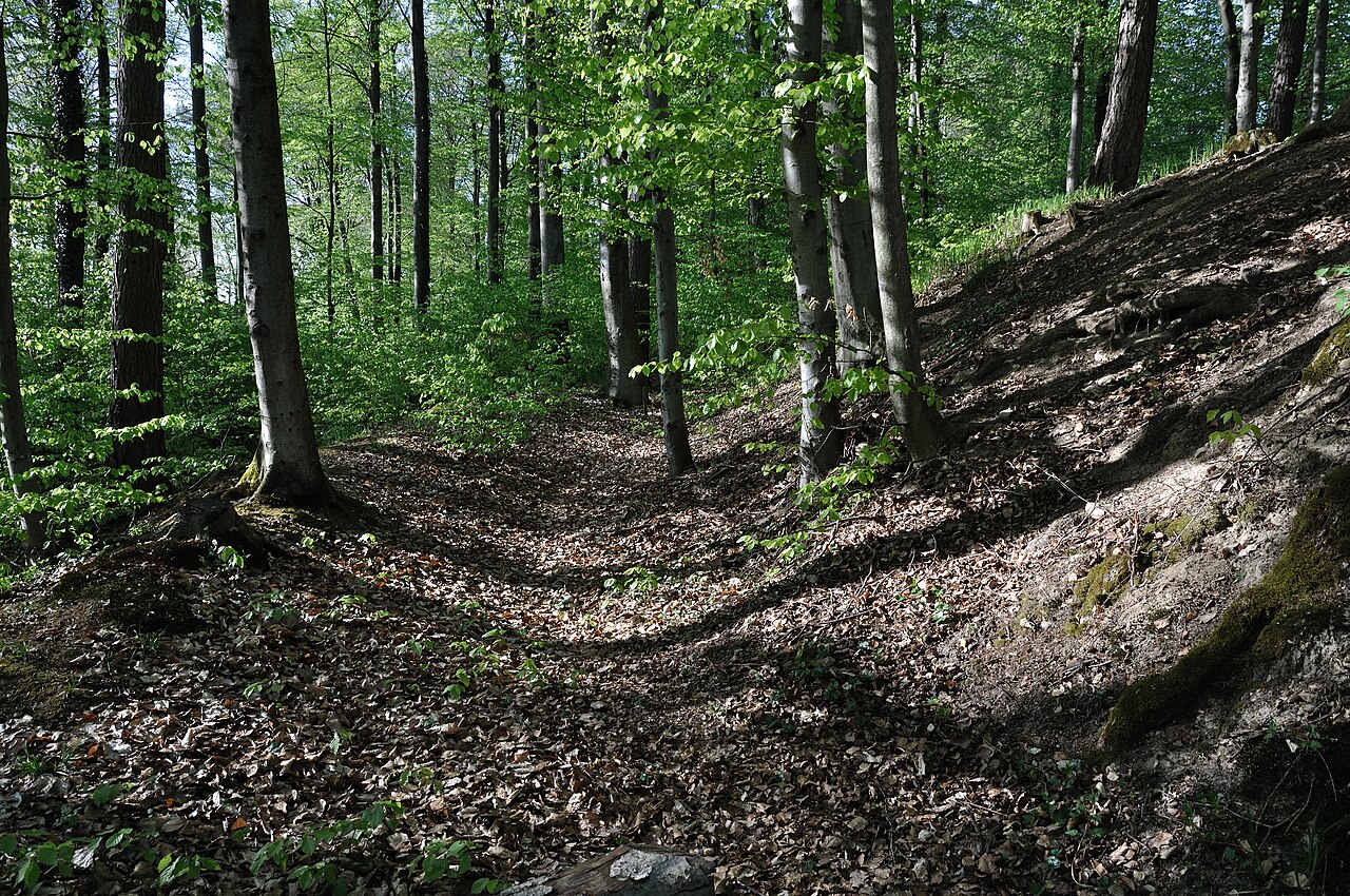 Burgstall Heidenschloss, Hauptwall und innerer Vorgraben, Friedrichshafen, auf dem Drumlin Weiherberg