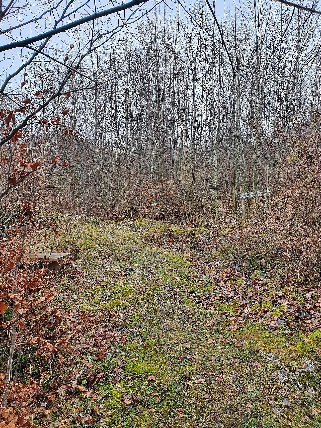 Burgstall bei Staudach
