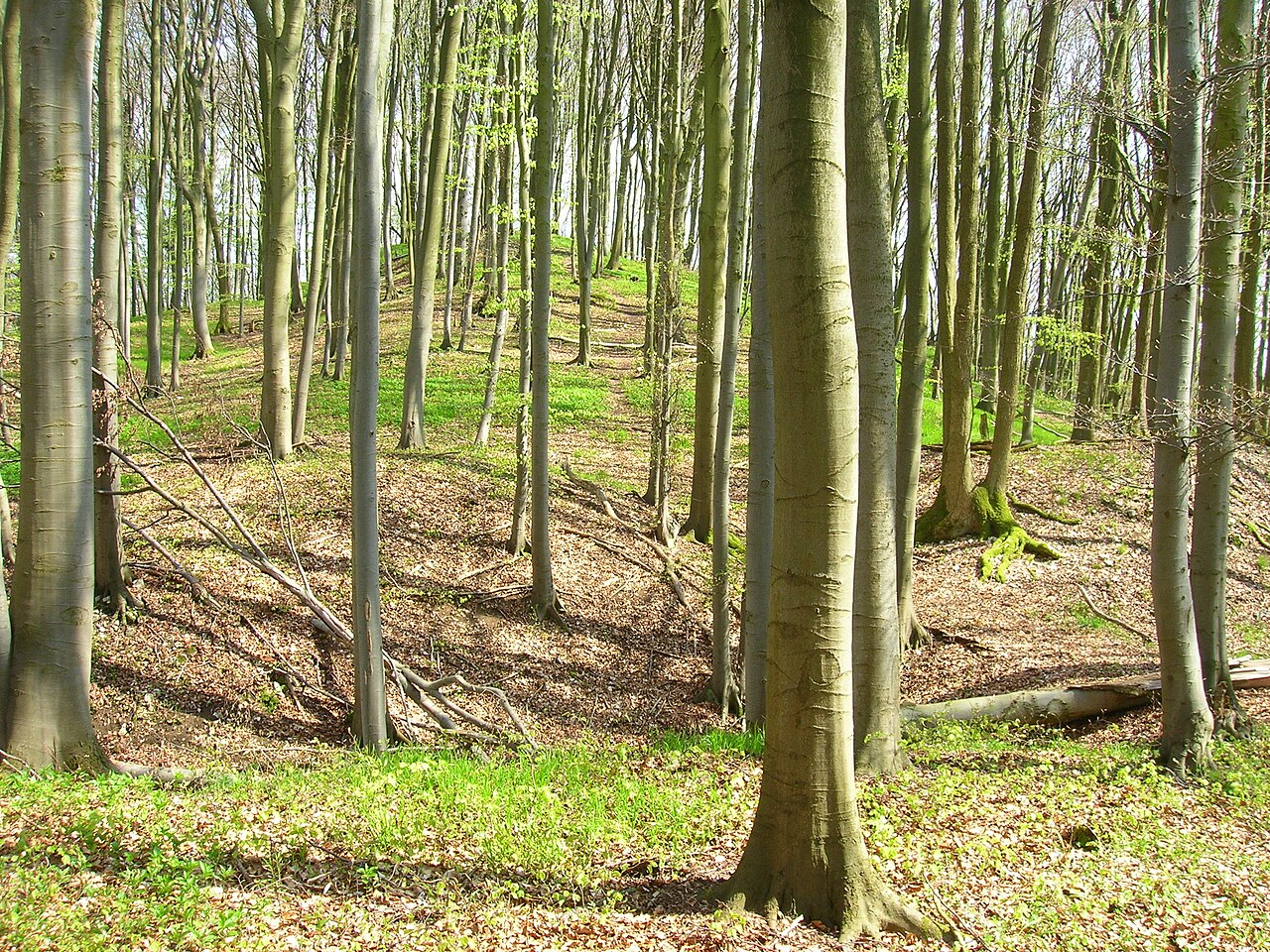 Burgstall Hansgörgel Ansicht