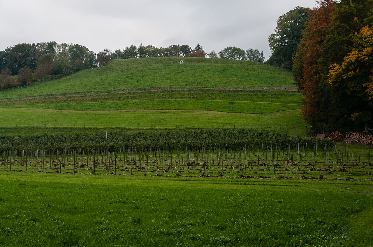 Place of the demolished castle Lenensburg , Kressbronn-Betznau, county Bodenseekreis, Germany