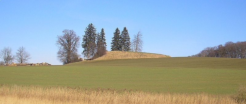 Burgstall Miedering (Gemeinde Affing, Landkreis Aichach-Friedberg, Bayerisch Schwaben)
