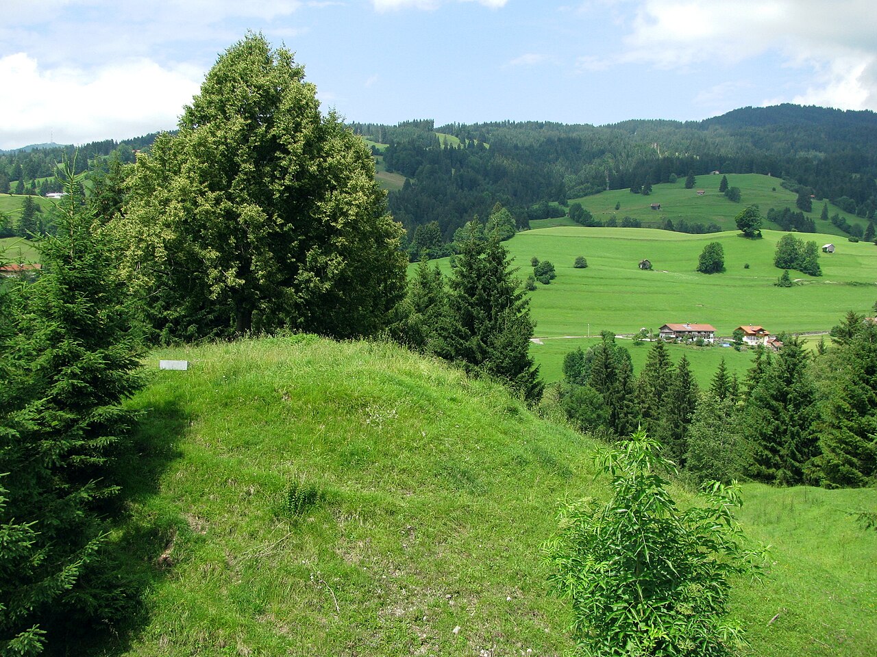 Burgstall Hindelang von Süden