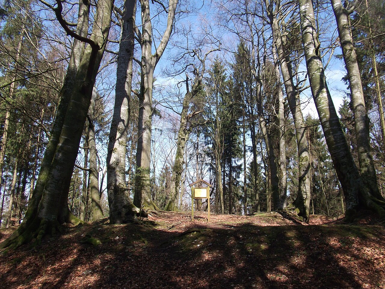 Burg Neuhaus, Reuth unter Neuhaus (Ettenstatt)