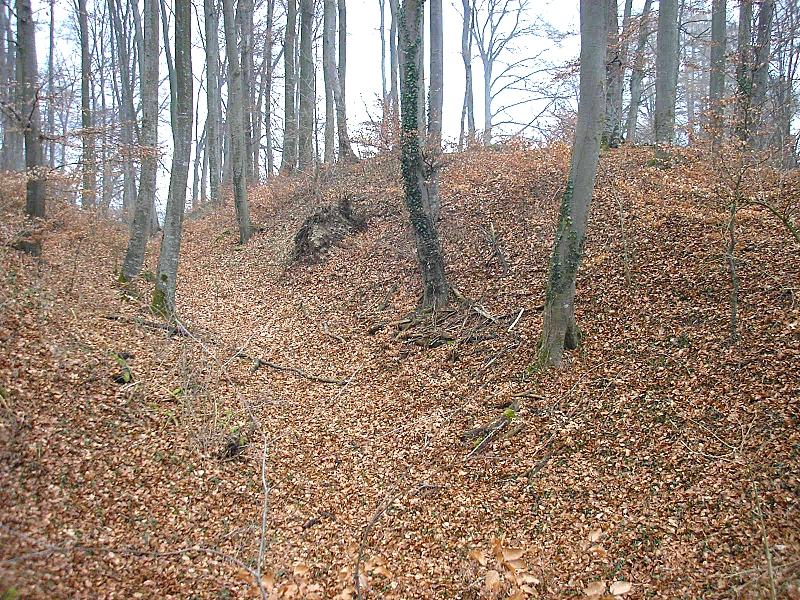 Frühmittelalterlicher Burgstall Purk (Gemeinde Moorenweis, Landkreis Fürstenfeldbruck, Oberbayern)