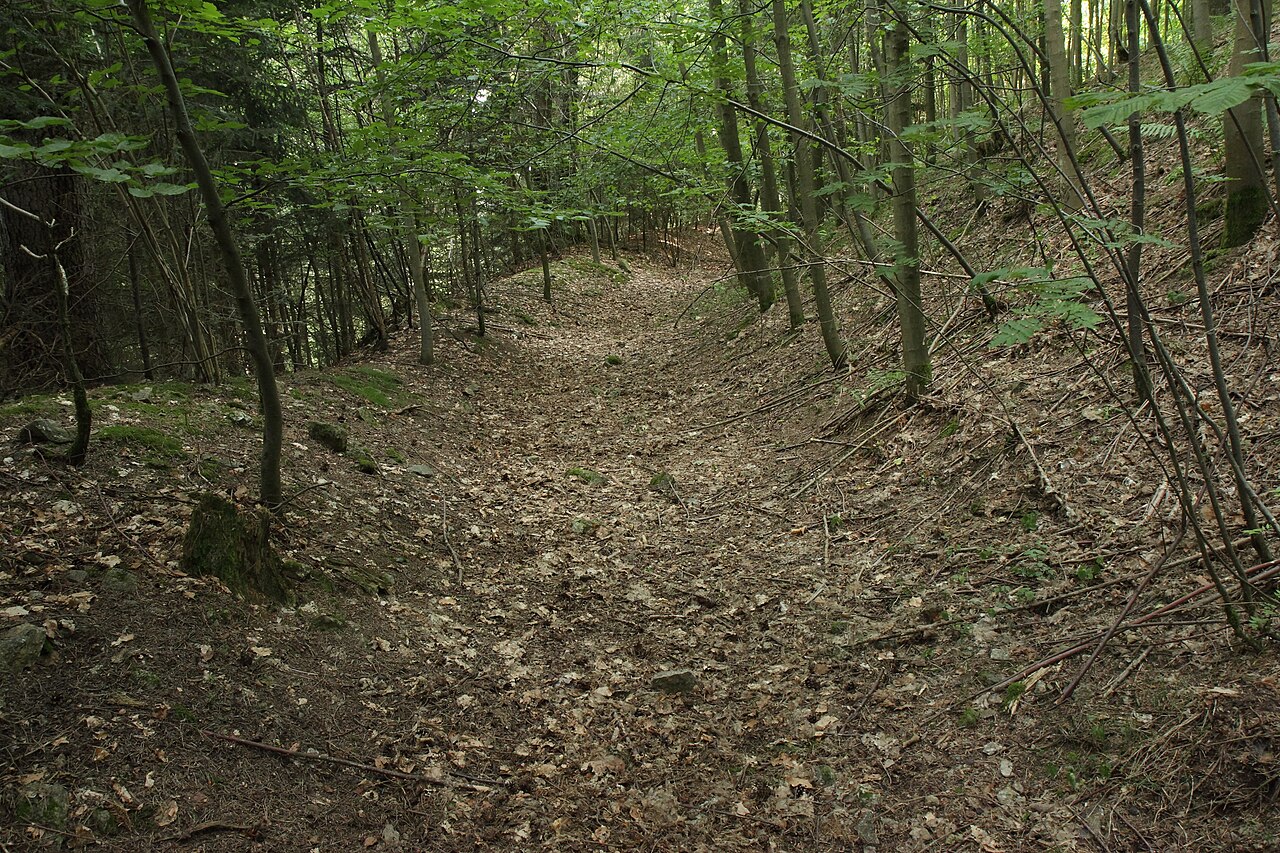 Burgstall Ramberg - Blick in den östlichen Bereich des Ringgrabens