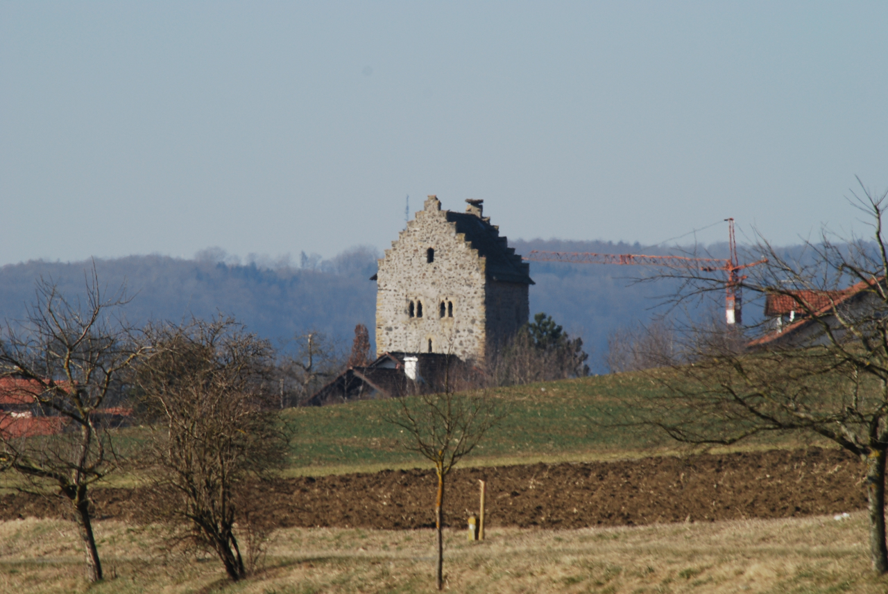 Riedheim