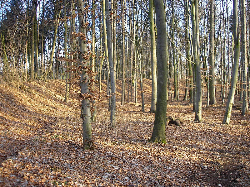 Burgstall Sand (Todtenweis, Landkreis Aichach-Friedberg, Bayerisch-Schwaben)