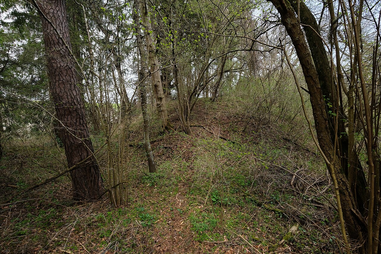 Demolished castle Schlößlesbühl , Aldingen, district Tuttlingen, Baden-Württemberg, Germany