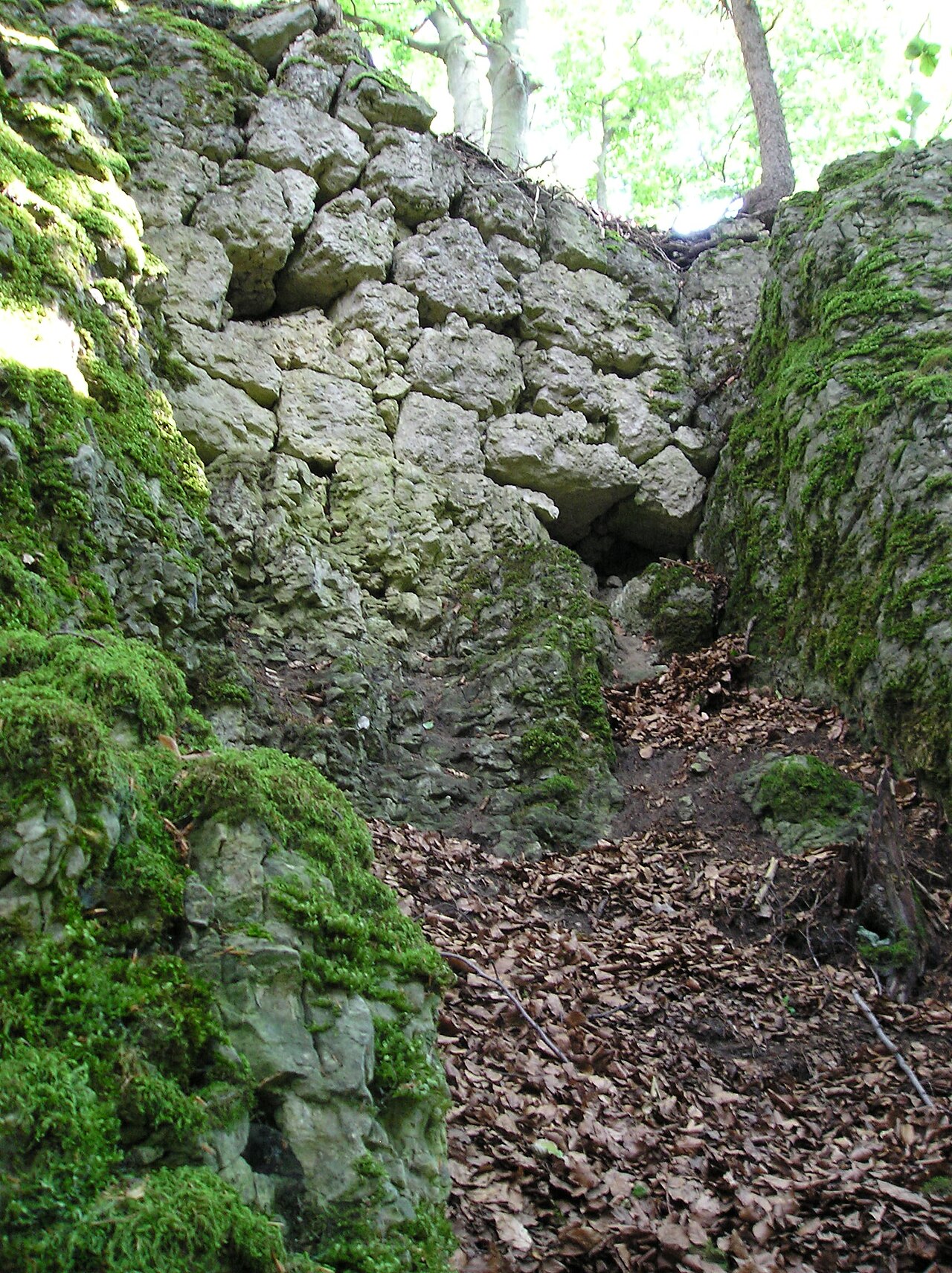 Foto von Burgstall Schlossberg