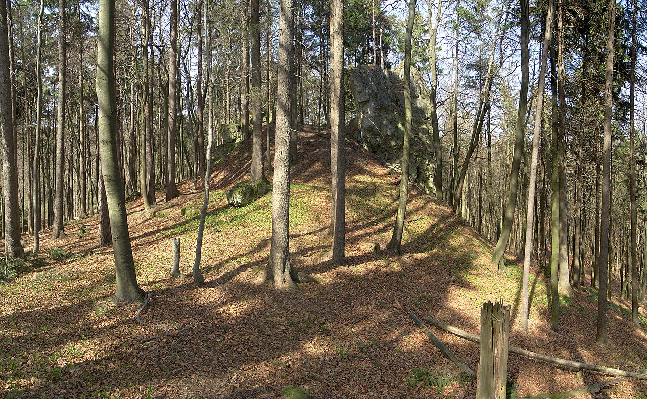 Burgstall Spitzenberg - Ansicht aus südlicher Richtung