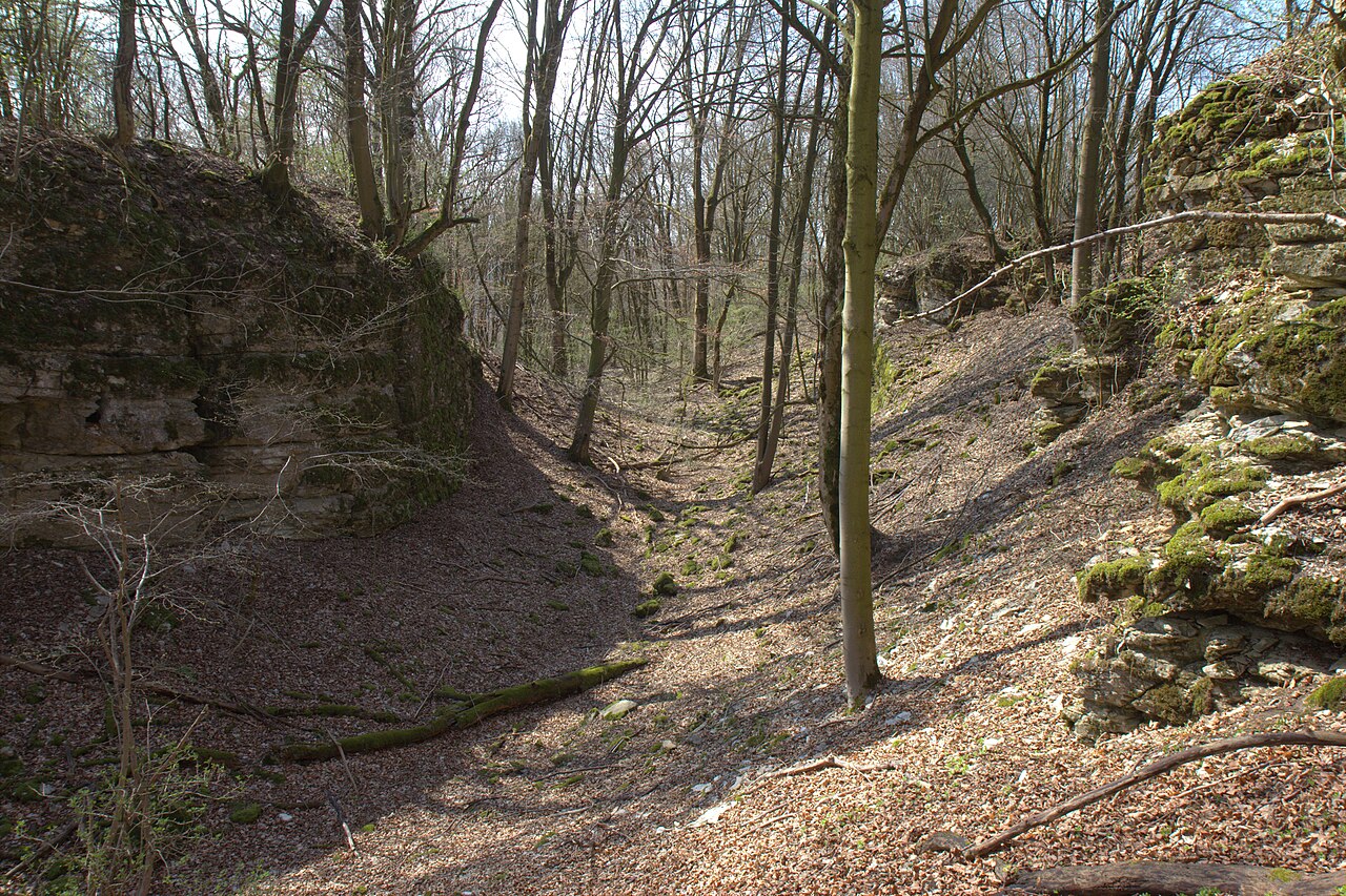 Burgstall Trossberg - Halsgraben der Burg