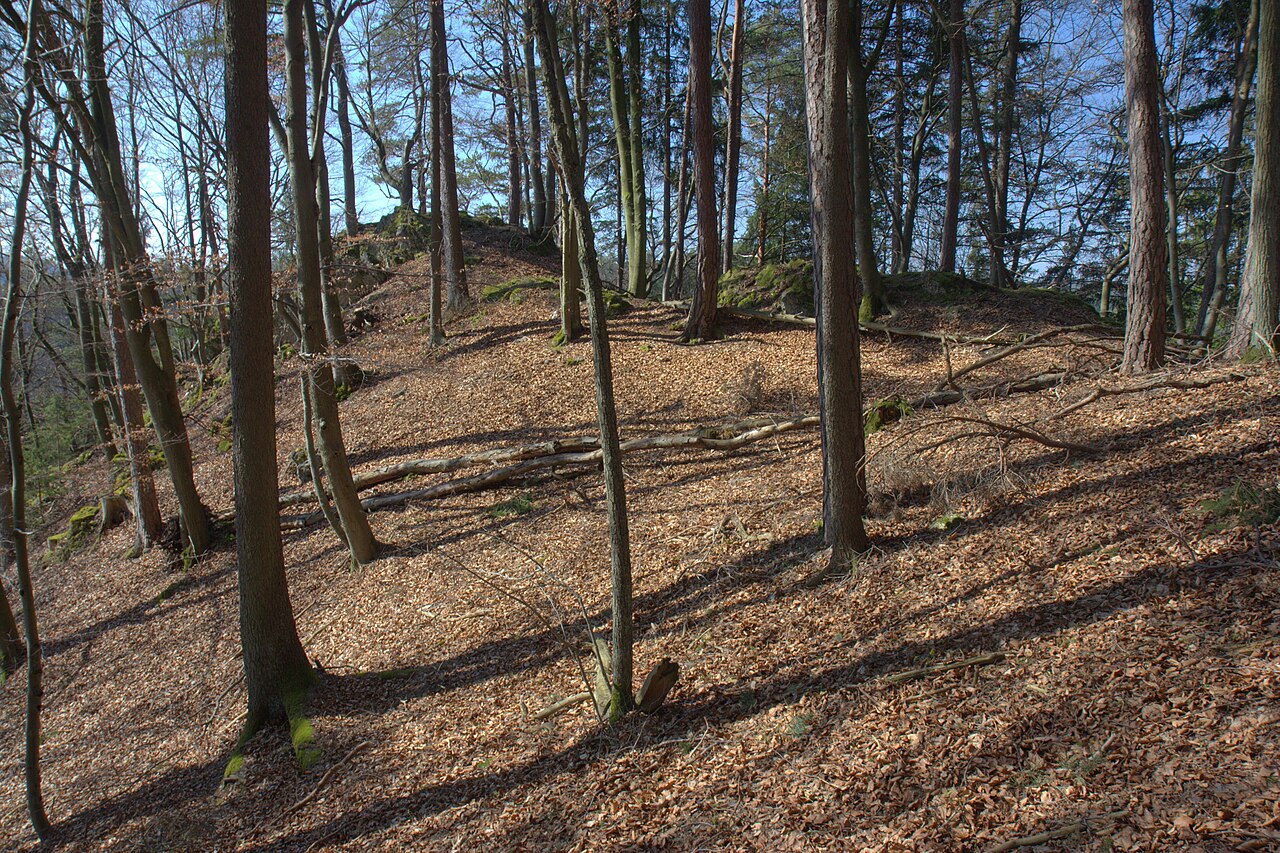Burgstall Vestenberg - Ansicht der Hauptburg