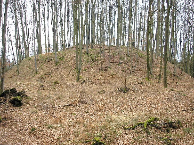 Foto von Burgstall Wagesenberg