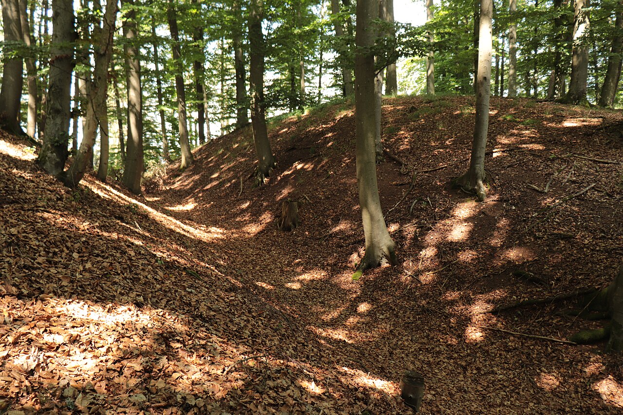 Der westliche Graben des Burgstalls Weißenkirchberg